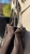 bv2f1lrzz5mpxgqncp0e.webp